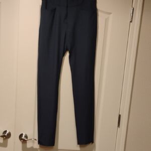 Adidas Primegreen Blue Pants